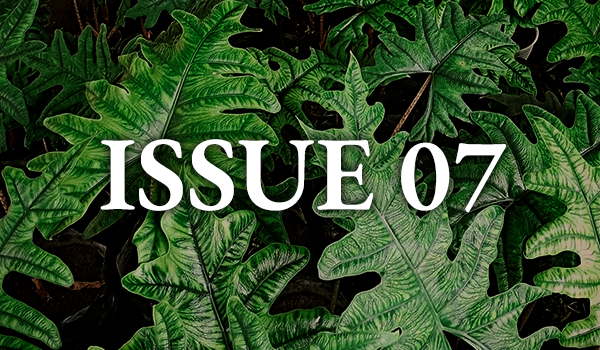 https://alocasia.org/wp-content/uploads/2023/12/Alocasia-Issue-07.png
