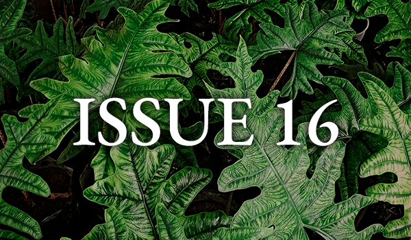 Issue 16